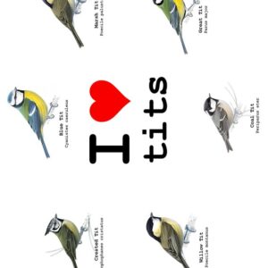I love tits – Postkarte